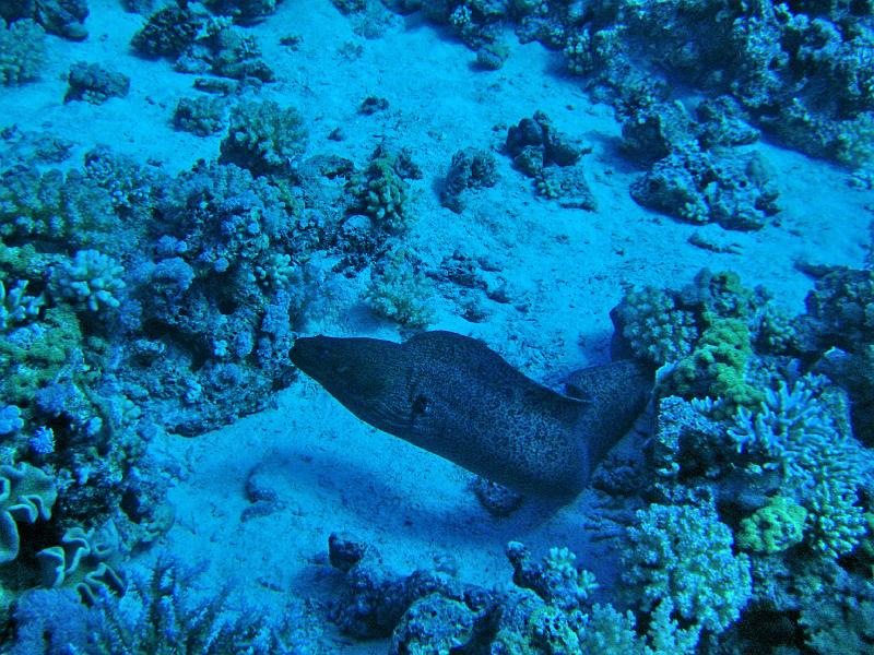 2009-12-05 10-45-10S.jpg